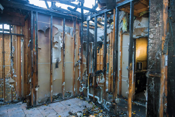 Professional Soot Cleanup technician working in Maple Valley, WA